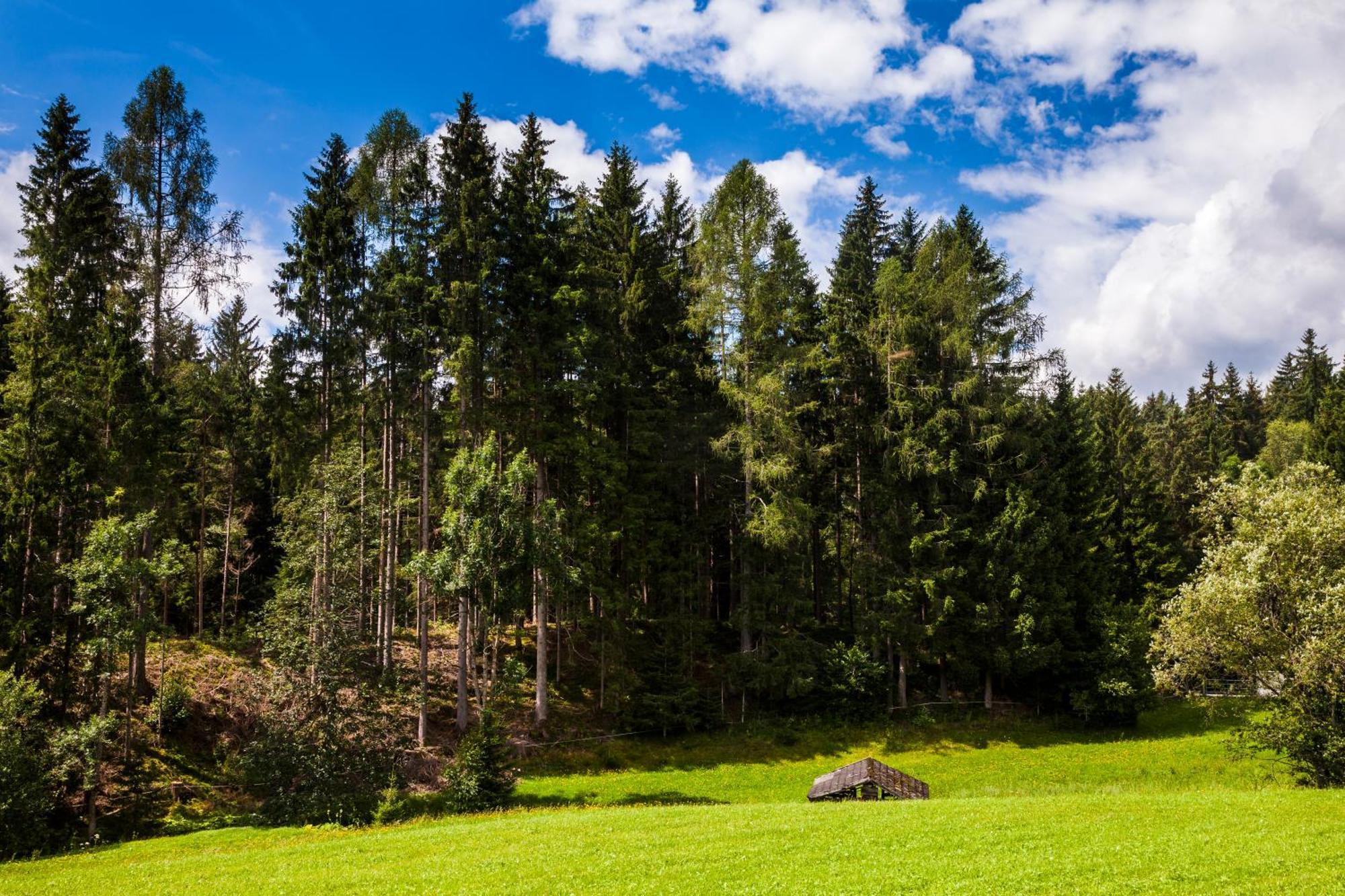 Biobauernhof Kleinummerstall Mittersill Exteriör bild