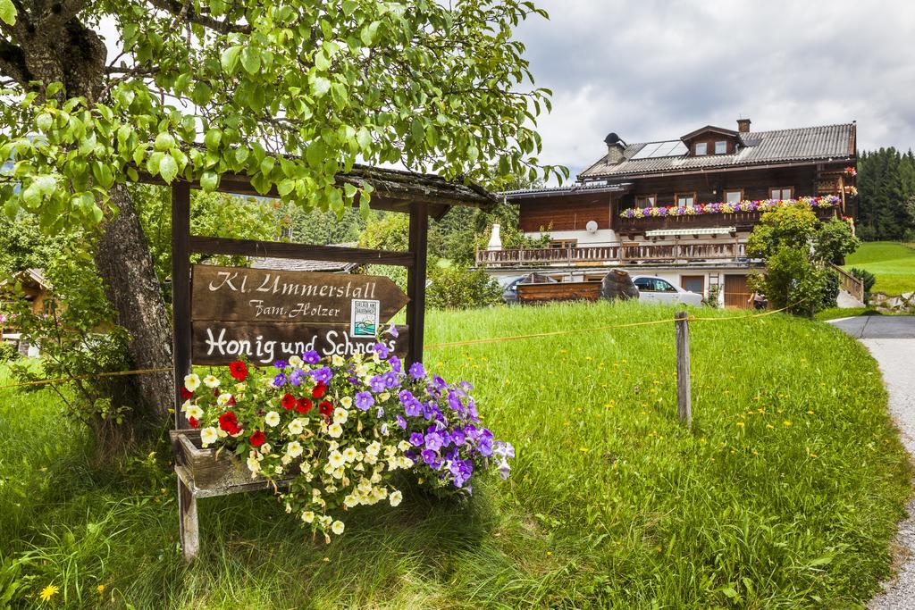 Biobauernhof Kleinummerstall Mittersill Exteriör bild